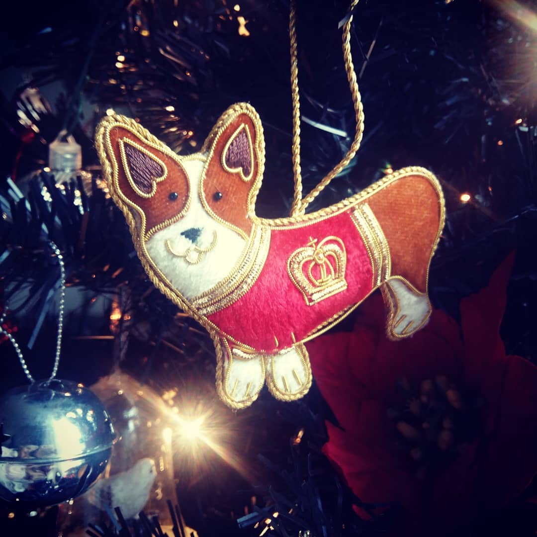 #corgi #christmasaddict #christmastree #royalcorgi