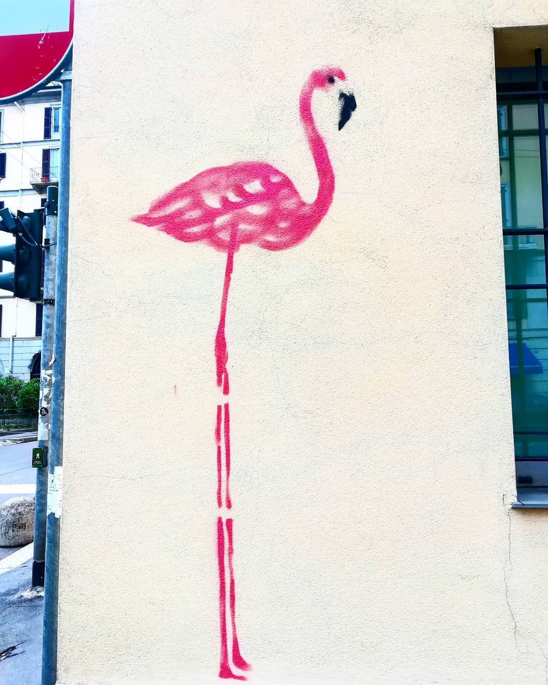 #flamingo #pink #streetart