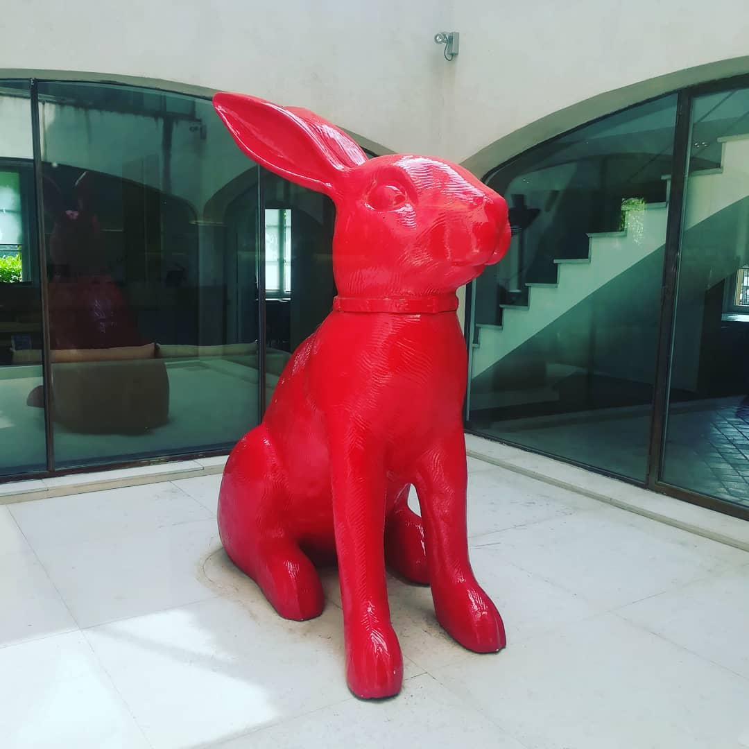 #redrabbit